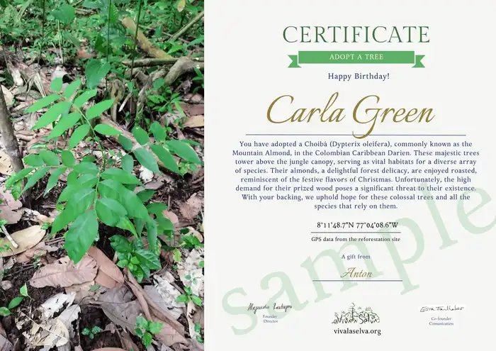 certificado de adopción de un árbol