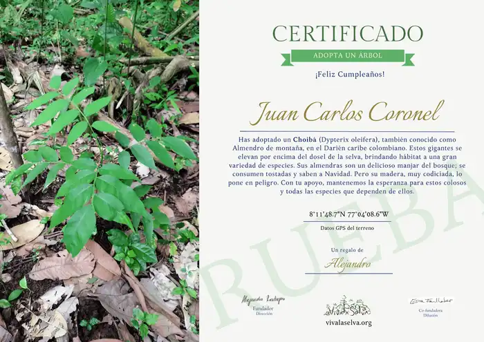 certificado de adopción de un árbol