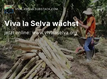 Viva la Selva Projekt baut Baumschule (Substack-Newsletter-Cover)