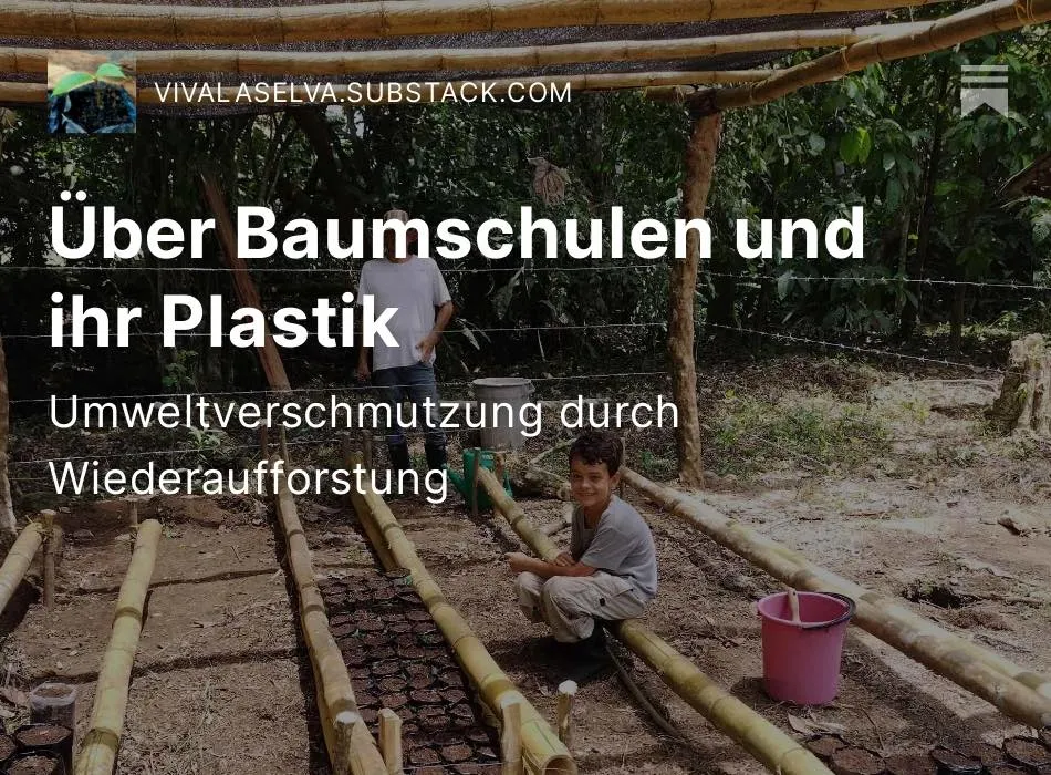 Viva la Selva Projekt reflektiert Plastikverbrauch von Baumschule (Substack-Newsletter-Cover)